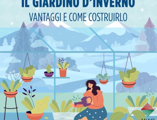 Giardino d’inverno: ecco come e perché costruirlo